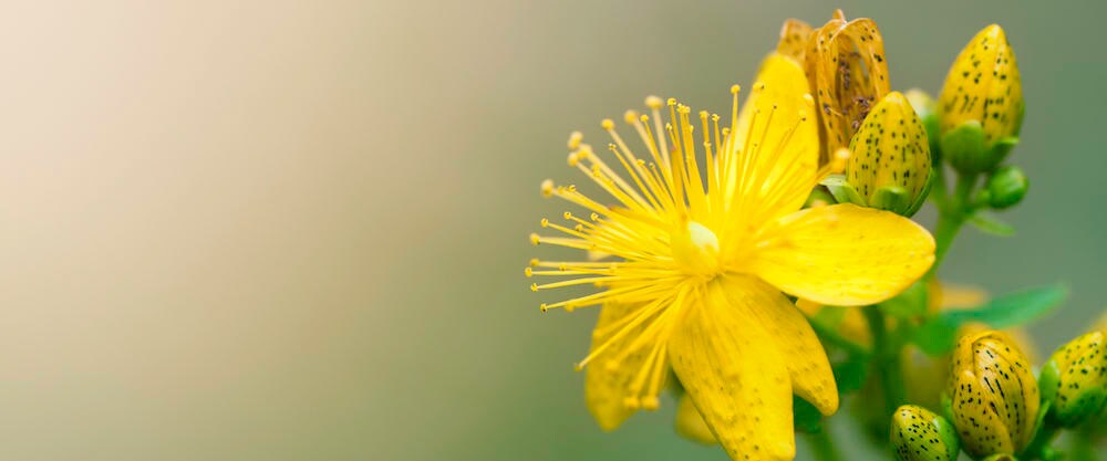 Header: Gewichtszunahme unter Antidepressiva